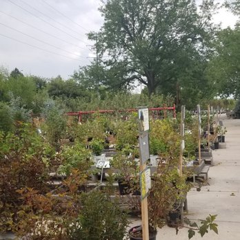 Bath Garden Center & Nursery - Nurseries & Gardening Near Me - Fort Collins, Colorado Bath Garden Center & Nursery - Nurseries & Gardening Near Me - Fort Collins, Colorado