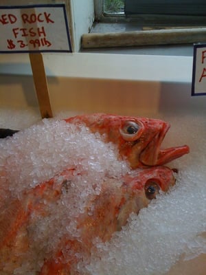 Key City Fish Company by null