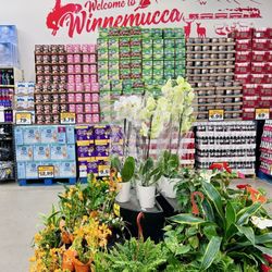 Grocery Outlet