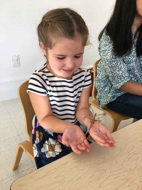 Larchmont Temple Nursery School - childcare center in Larchmont, NY