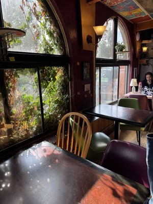 Alleycat Coffee House by null