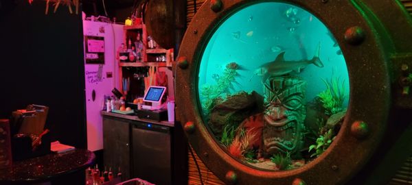 Forbidden Cove by null