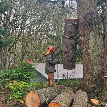 The Wood Cracker - Tree Services Near Me The Wood Cracker - Tree Services Near Me
