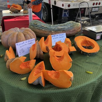 Davis Farmers Market - Beautiful squash! - Farmers Market Near Me - Davis, California Davis Farmers Market - Beautiful squash! - Farmers Market Near Me - Davis, California