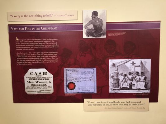 Harriet Tubman Home by null