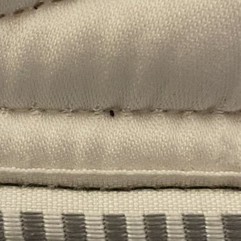 AmericInn by Wyndham Baxter Brainerd - Bed bug found - Hotels Near Me - Baxter, Minnesota