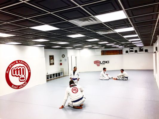 Miloki Flow Jiu Jitsu gym photo