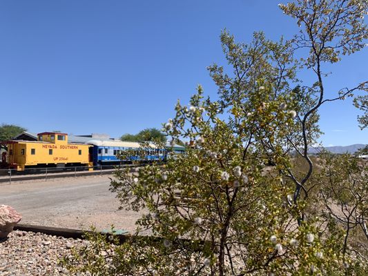 Nevada State Railroad Museum Boulder City by null