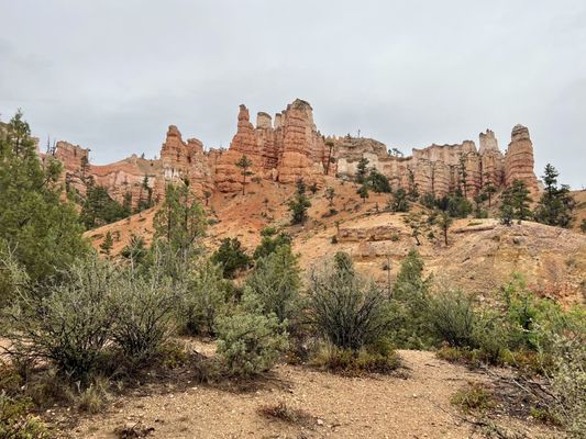 Mossy Cave Trailhead by null