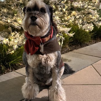 The Village at Corte Madera - Dog friendly shopping. - Shopping Centers Near Me - Corte Madera, California