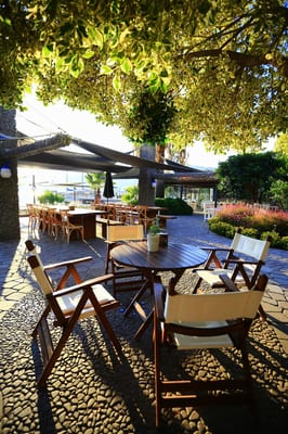 Special Class Hotel in Costa Farilya by null