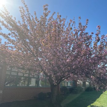 Fairhill Elementary School - Elementary Schools Near Me - Fairfax, Virginia Fairhill Elementary School - Elementary Schools Near Me - Fairfax, Virginia