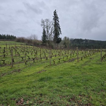 Alexana Winery - Wineries Near Me - Newberg, Oregon