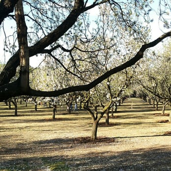 Quinta de los Molinos - Parks Near Me - Madrid, M