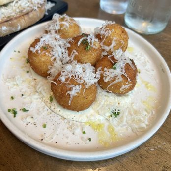 OLIVIA - Arancini - Italian Near Me - Tampa, Florida OLIVIA - Arancini - Italian Near Me - Tampa, Florida