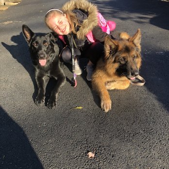 Dan Gentile Dog Training Center - Pet Training Near Me - Howell, New Jersey
