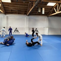 Animus Grappling