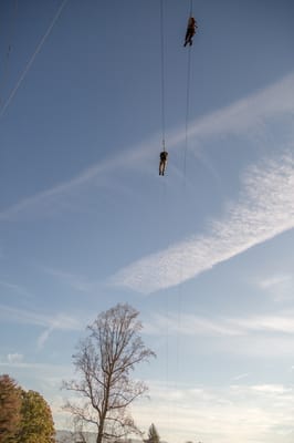Asheville Treetops Adventure Park by null