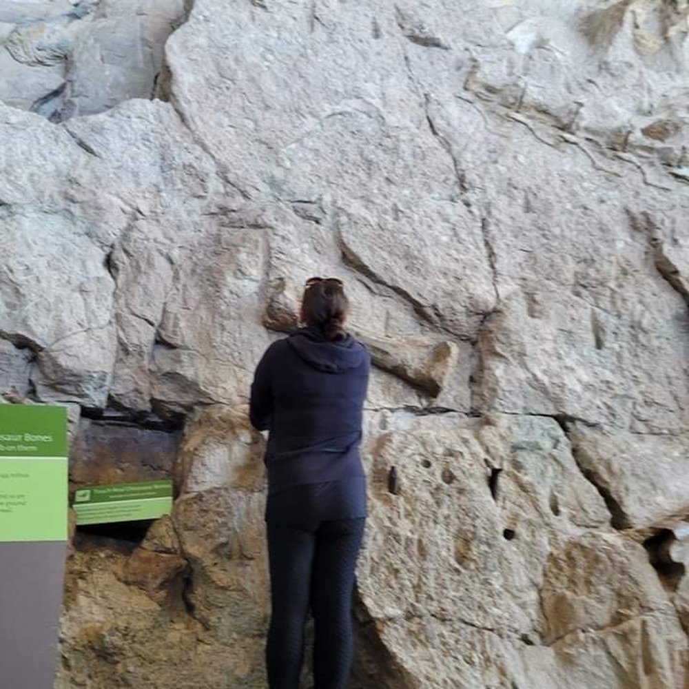 Dinosaur National Monument - Museums Near Me - Dinosaur, Colorado