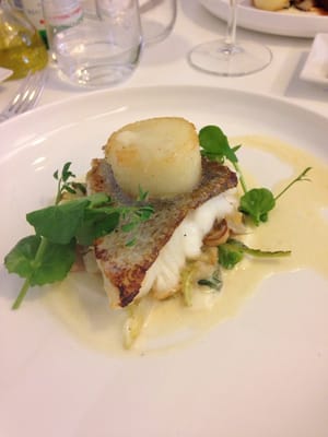 Bien Soigné by null