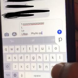 iFixScreens Victory Blvd - The screen presses random letters CONSTANTLY. Entire touch screen has been messed up since I got it replaced.