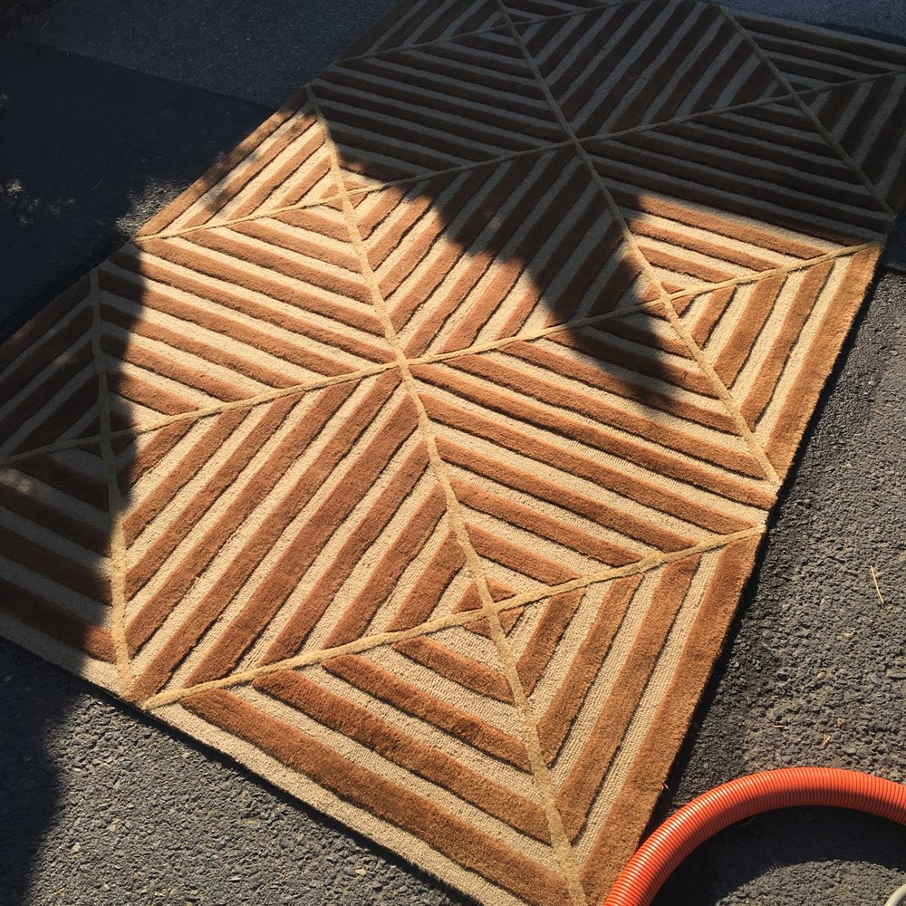 PRO TOUCH CARPET CLEANING Updated July 2024 Salem, Oregon Carpet