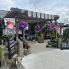 Strader's Garden Centers gift card