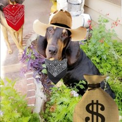Leslie Kiper - Texas Home Consultants - Homer and Abilene check out the curb appeal. Yep, this buckaroo is ready to go!