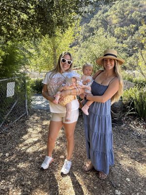 Painted Pony by null