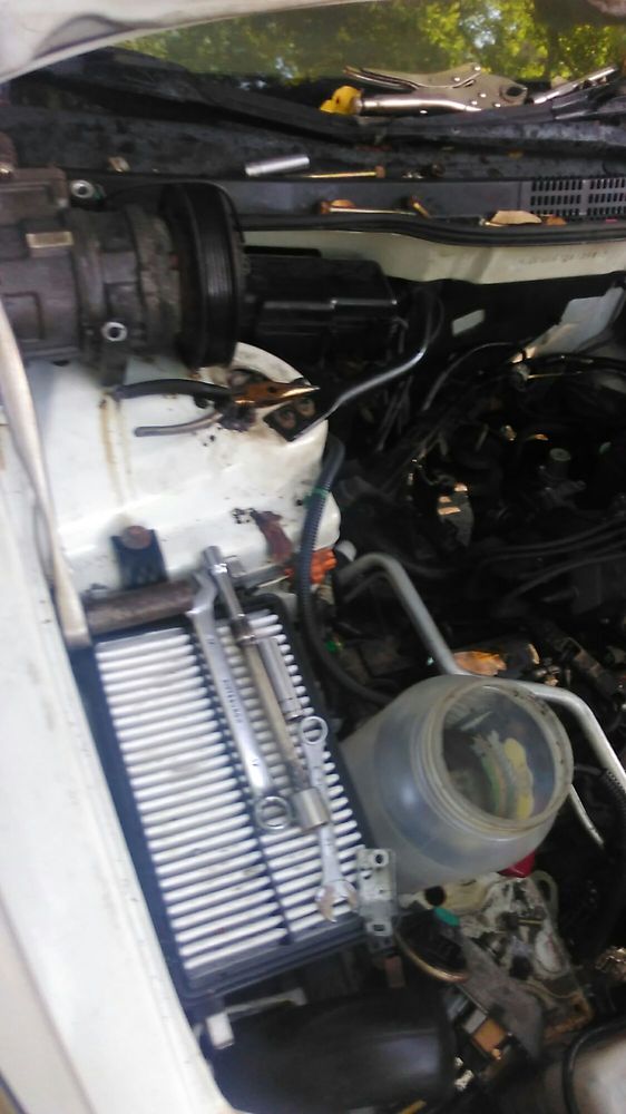 Slide of Brown's Maintenance