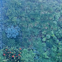 Friedman's Home Improvement - Love the living wall