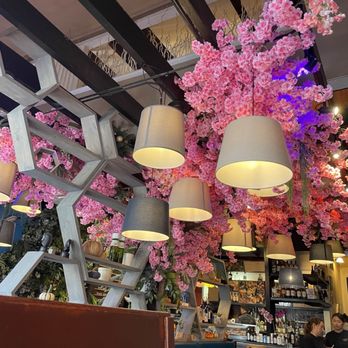 Lazy Fish - Lazy fish restaurant - Sushi Bars Near Me - Frederick, Maryland