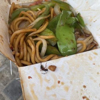 Wok N Roll - Vegetable Lo Mein - Chinese Near Me - Biddeford, Maine