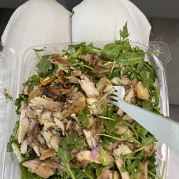 Salad Salad