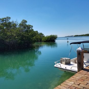 Fish Camp - They say there are manatees...and we just missed them. - New American Near Me - Key West, Florida