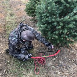Pine Brook Hollow Tree Farm - Cut your own - a nice 7' Douglas Fir.