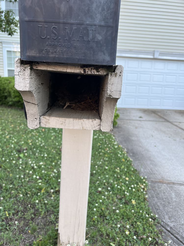 Slide of B&D Disaster Clean Up