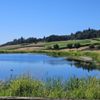 Dukes Family Vineyards gift card