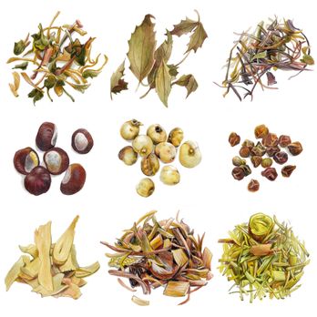 Sally Sun Acupuncture 中医针灸诊所 - Traditional Chinese Herbal Medicine - Acupuncture Near Me - Santa Clara, California Sally Sun Acupuncture 中医针灸诊所 - Traditional Chinese Herbal Medicine - Acupuncture Near Me - Santa Clara, California