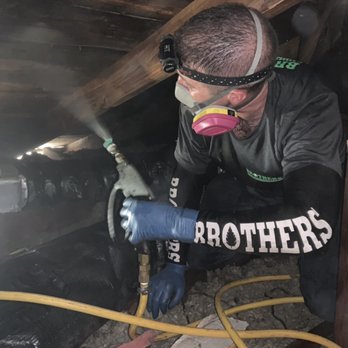 Brothers Environmental Services - Dry wood termite extermination - Pest Control Near Me Brothers Environmental Services - Dry wood termite extermination - Pest Control Near Me