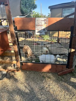 Chinese Camp Store And Tavern by null