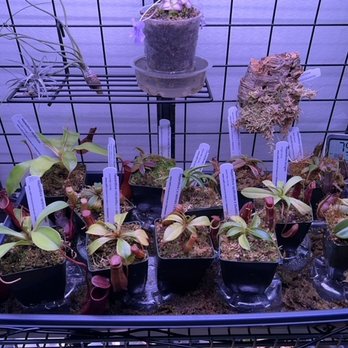 California Carnivores - Nurseries & Gardening Near Me - Sebastopol, California