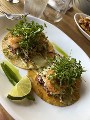 The Funky Taco by null