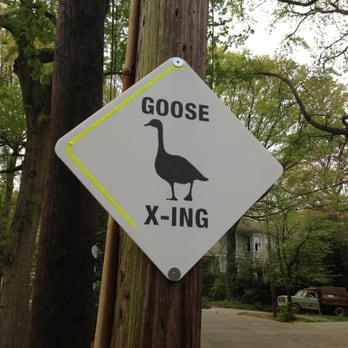 Springvale Park - Parks Near Me - Atlanta, Georgia