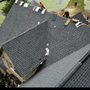 Photo of 1st Gen Roofing & Restoration