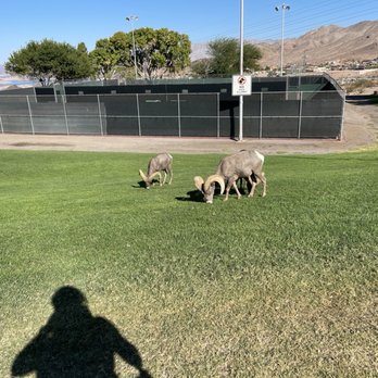 Hemenway Valley Park - Recreation Centers Near Me - Boulder City, Nevada Hemenway Valley Park - Recreation Centers Near Me - Boulder City, Nevada
