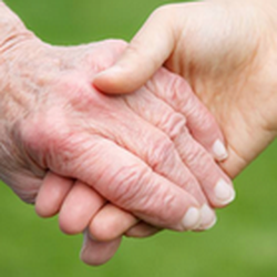 Elder Guidance