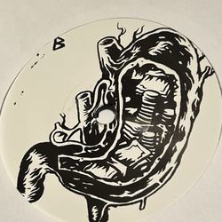 Julia V Souvorova, DPM, ABPM - Update # 1