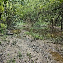 Lakewood Crossing Park - There are some trails that may be watered out