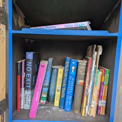 Little Free Library - Little Free Library, 246 Main St., Rutherfordton